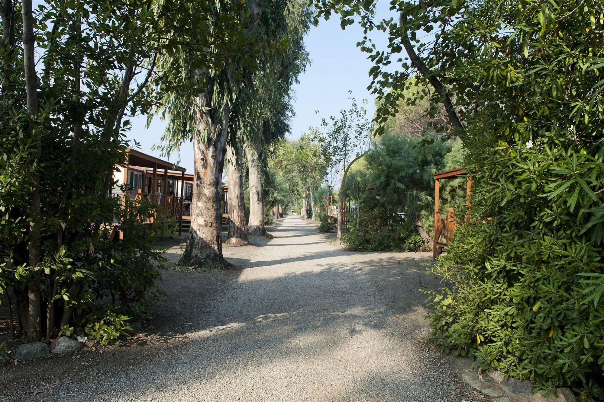 New Camping Le Tamerici Cecina  Exterior foto